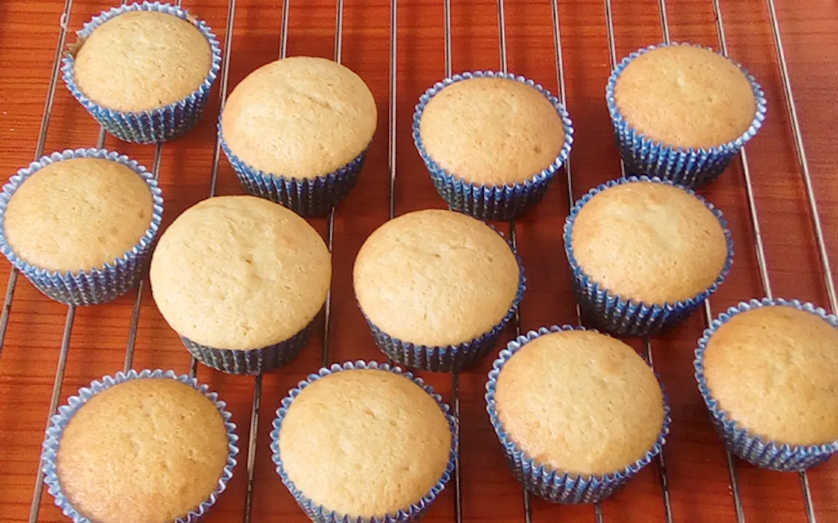 Vanilla Cupcakes
