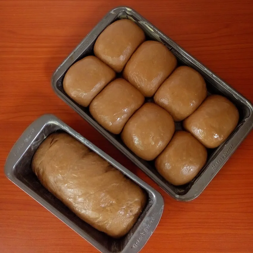 Chocolate bread rolls by Dolapo Grey