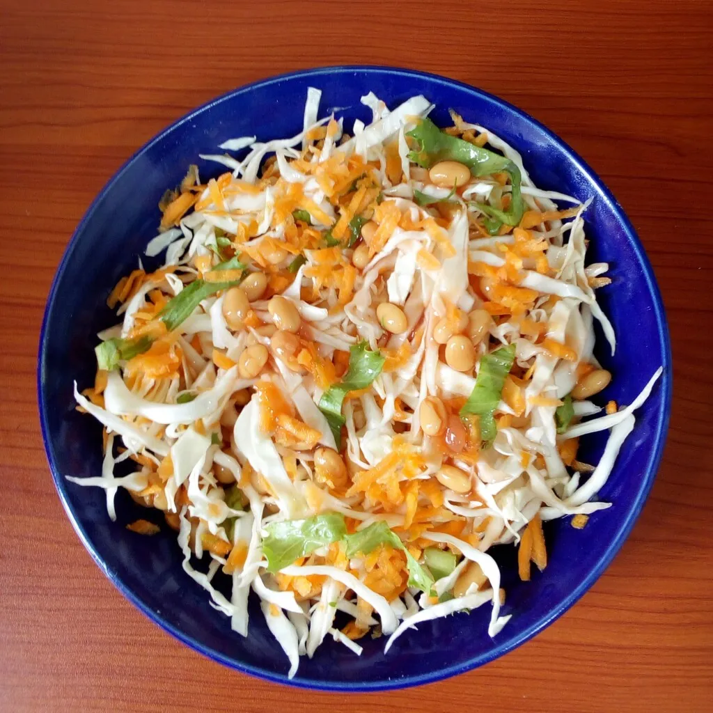 Vegetable salad by dolapo grey