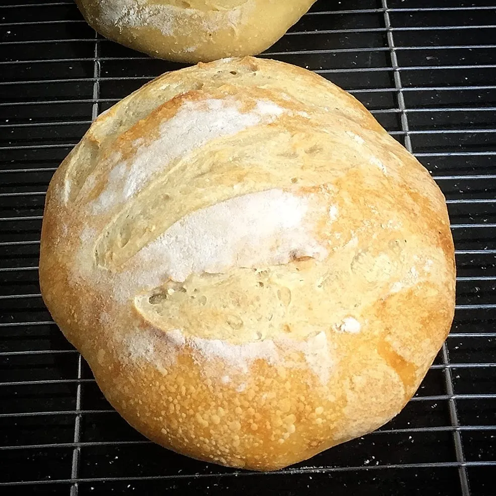 Crusty no knead bread by dolapo grey