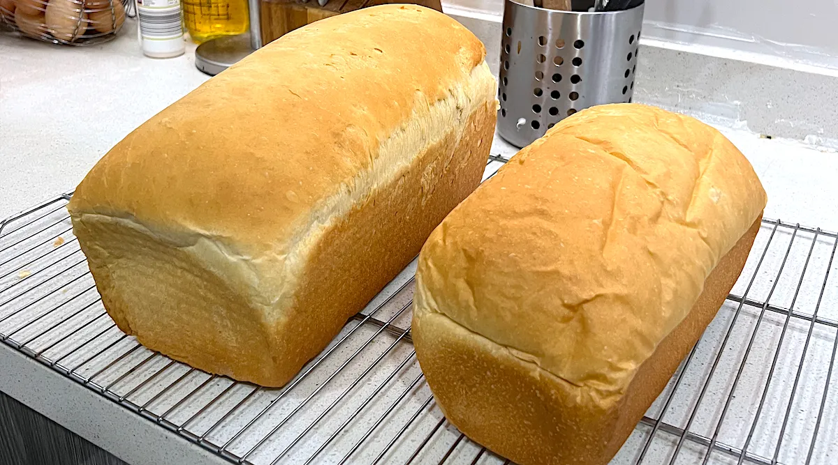 Quick and Easy One-Rise Sweet White Bread (Yields 2 Loaves)
